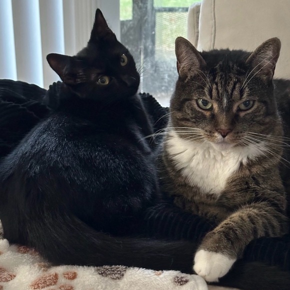 Friday night 2/27 Happy Hour Share show @7pm
Tray is open - Picture 5 of 8